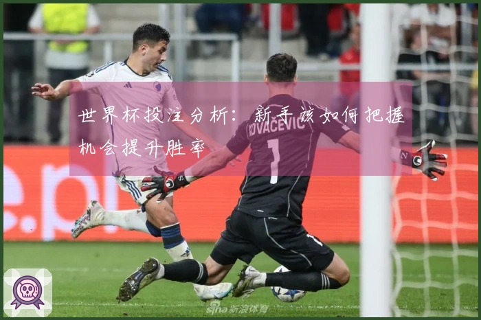 世界杯投注分析：新手该如何把握机会提升胜率