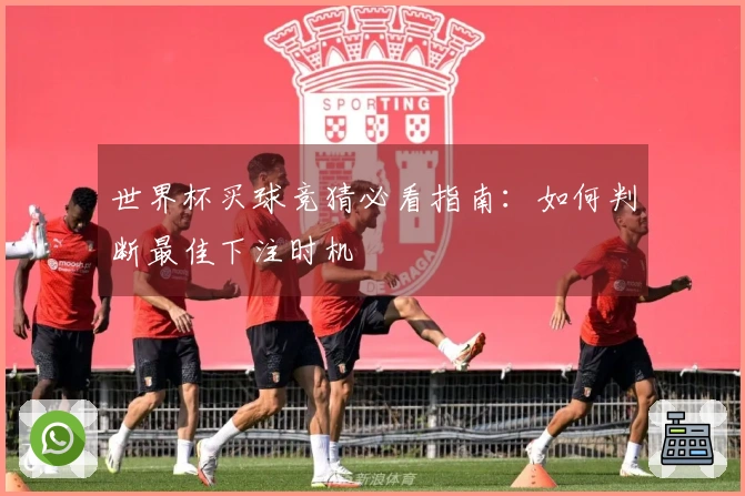 世界杯买球竞猜必看指南：如何判断最佳下注时机